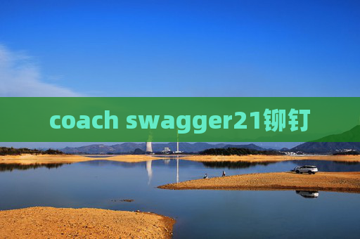 coach swagger21铆钉
